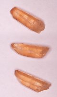 29.49 x 9.61 x 9.67mm, Tangerine Quartz Specimens