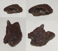 6.430 Grams Of Meteorite Specimens