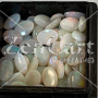 6 x 4mm, Australian Mult Opal Oval Cabochon