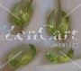 7 x 5mm, Green Peridot Oval